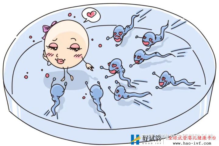 公立医院试管婴儿多少钱一次一代二代三代费用明细(图1) 公立医院试管婴儿多少钱一次一代二代三代费用明细(图1)