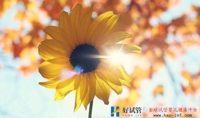 公立医院试管婴儿多少钱一次一代二代三代费用明细(图5) 公立医院试管婴儿多少钱一次一代二代三代费用明细(图5)