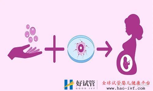 试管婴儿需要花多少时间试管全流程大公开建议收藏!(图1) 试管婴儿需要花多少时间试管全流程大公开建议收藏!(图1)