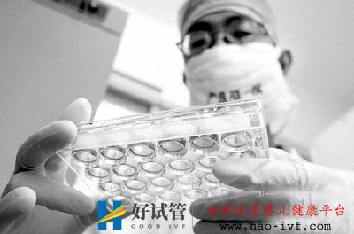 广州今年试管婴儿激增五成(图1) 广州今年试管婴儿激增五成(图1)