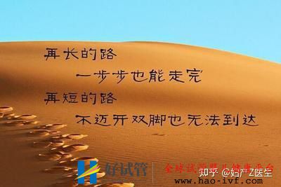 全国试管前百名医院除了北上广,这些地区的试管...(图16) 全国试管前百名医院除了北上广,这些地区的试管...(图16)