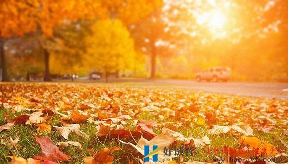 选择哪个季节做试管婴儿成功率高(图2) 选择哪个季节做试管婴儿成功率高(图2)