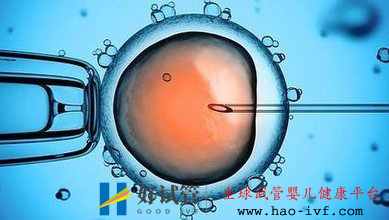 海外热门试管婴儿医院排名,你选哪个?(图1) 海外热门试管婴儿医院排名,你选哪个?(图1)