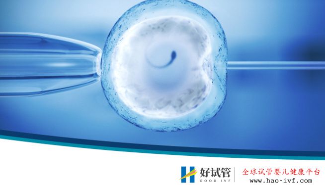 告诉您可以做试管婴儿生双胞胎吗(图1) 告诉您可以做试管婴儿生双胞胎吗(图1)