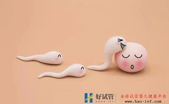 哪种体质的人做试管婴儿容易生双胞胎(图1) 哪种体质的人做试管婴儿容易生双胞胎(图1)