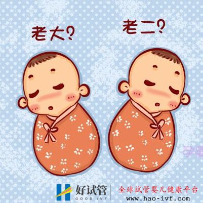 俄罗斯试管婴儿双胞胎宝宝为什么长得不一样(图1) 俄罗斯试管婴儿双胞胎宝宝为什么长得不一样(图1)