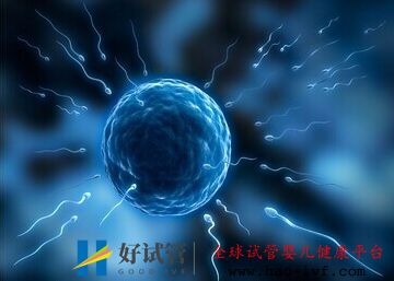 同卵双胞胎为什么不会是龙凤胎戳,科学解释其真正原因(图1) 同卵双胞胎为什么不会是龙凤胎戳,科学解释其真正原因(图1)