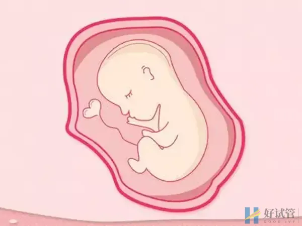 吉林大学白求恩第一医院(吉大一院)(图4) 医院试管成功率