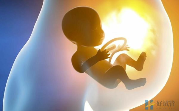 河北医科大学第二医院(河北省二院)(图4) 医院试管婴儿成功率