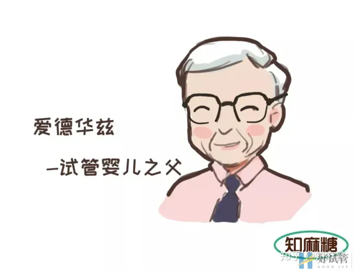 试管婴儿长方案需要多少天(什么是“试管婴儿”?)深度揭秘(图4) 试管婴儿长方案需要多少天(什么是“试管婴儿”?)深度揭秘(图4)