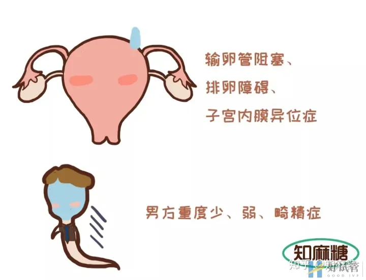 试管婴儿是爸妈亲生的吗?(什么是“试管婴儿”?)越早知道越好(图3) 试管婴儿是爸妈亲生的吗?(什么是“试管婴儿”?)越早知道越好(图3)