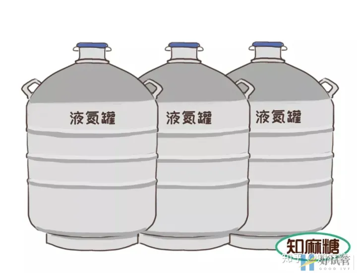 试管婴儿是爸妈亲生的吗?(什么是“试管婴儿”?)越早知道越好(图11) 试管婴儿是爸妈亲生的吗?(什么是“试管婴儿”?)越早知道越好(图11)