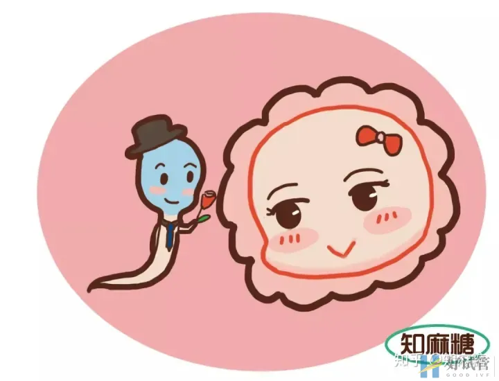 试管婴儿是爸妈亲生的吗?(什么是“试管婴儿”?)越早知道越好(图9) 试管婴儿是爸妈亲生的吗?(什么是“试管婴儿”?)越早知道越好(图9)