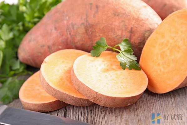 多囊卵巢可以适量吃红薯,调理卵巢囊肿这样吃会更好(图1) 多囊患者可以吃红薯