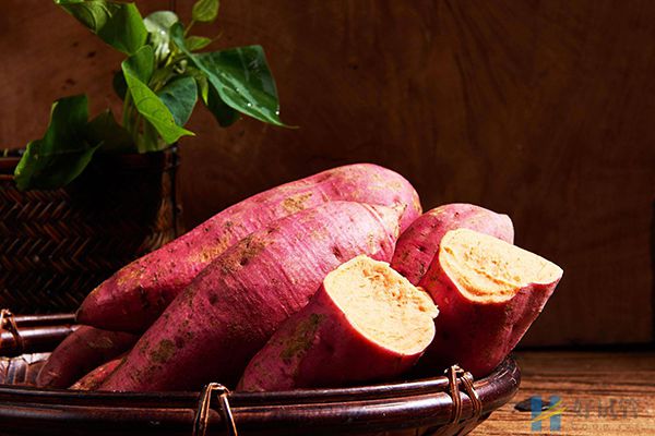 多囊卵巢可以适量吃红薯,调理卵巢囊肿这样吃会更好(图2) 吃红薯可以补充营养物质