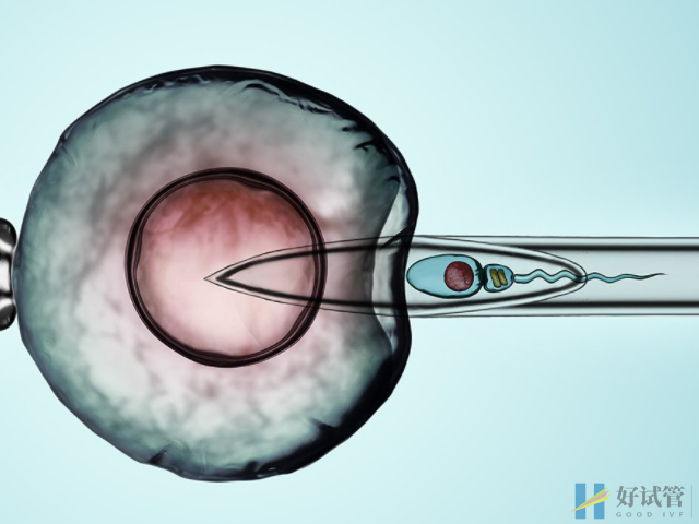 做试管的最佳月份盘点,这个季节助孕成功率只高不低(图1) 做试管不能保证一次成功