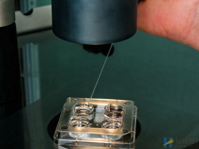 做试管的最佳月份盘点,这个季节助孕成功率只高不低(图3) 季节会影响试管成功率