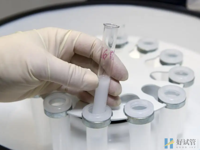 试管全流程时间安排表分享,真不需要天天往医院跑(图3) 试管移植冻胚需要时间长