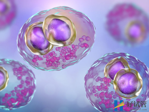 阿里做第三代试管婴儿的医院有哪些?(图1) 阿里做第三代试管婴儿的医院有哪些?(图1)