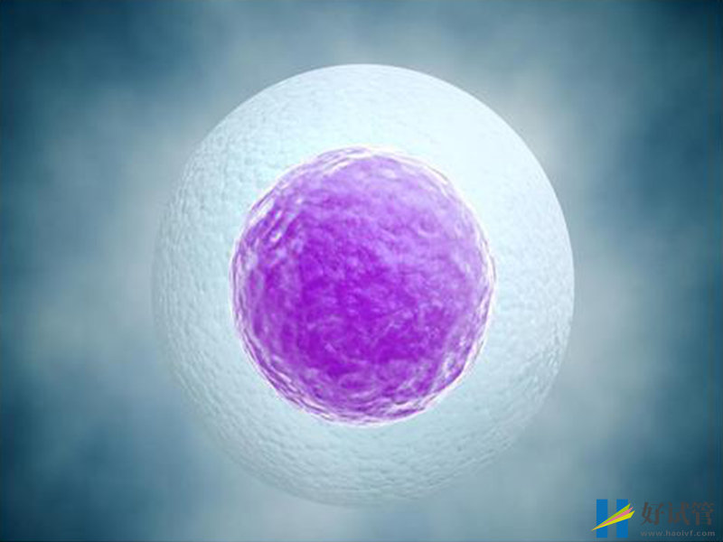 楚雄第三代试管婴儿价格是多少钱,哪个医院可以做?(图1) 楚雄第三代试管婴儿价格是多少钱,哪个医院可以做?(图1)