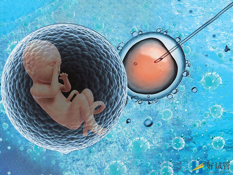 宫腔粘连女性了解这五点,可有效提升试管成功率(图1) 做试管婴儿前要对宫腔进行检查