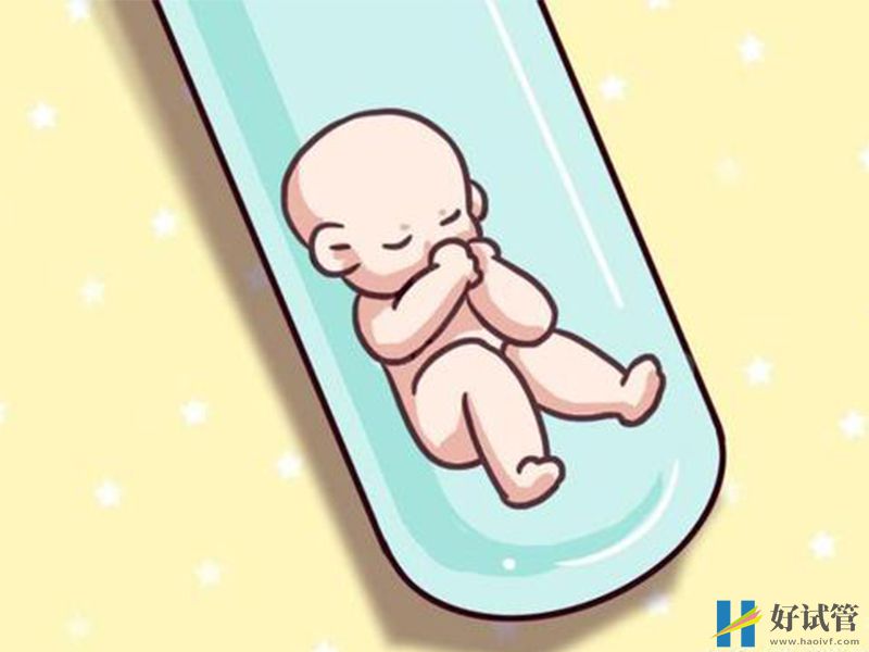 健康的女性前往泰国做试管婴儿生双胞胎的概率有多高?(图2) 可以通过试管怀双胎