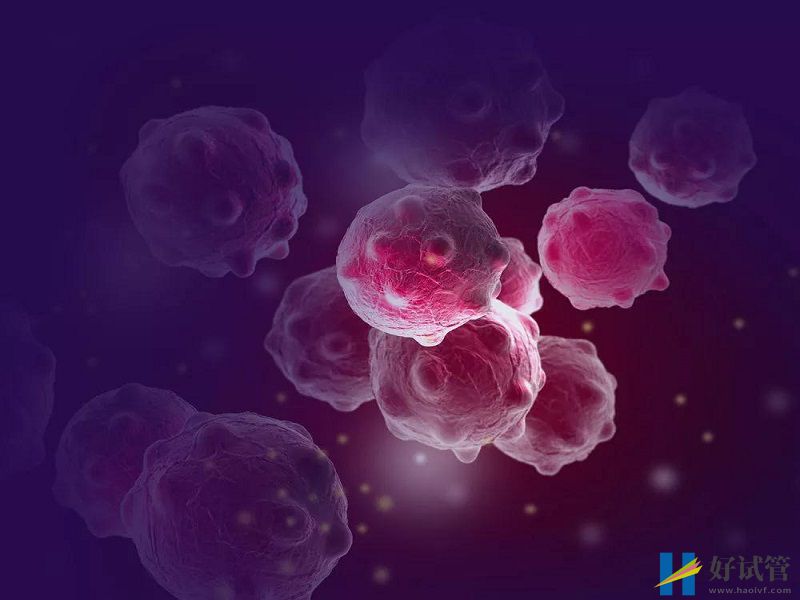 女性在试管移植后雌二醇出现高低变化是什么情况?(图1) 怀孕后雌二醇会上升