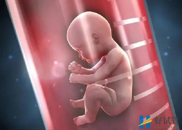 广东计划生育专科医院试管婴儿费用表,总花费明细参考(图2) 试管婴儿技术