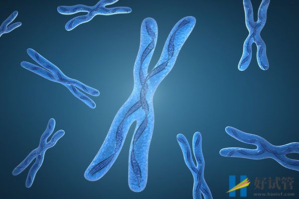 无创13号染色体重复原因有2点,嵌合10%问题可来自母体(图1) 13号染色体嵌合重复会引起胎停