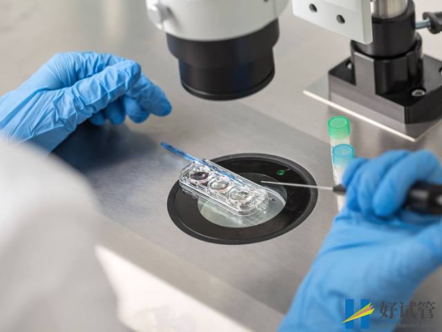 做试管生女孩比生男孩的多,原因不仅仅只是三代基因筛查!(图2) 做试管不能筛查胚胎性别