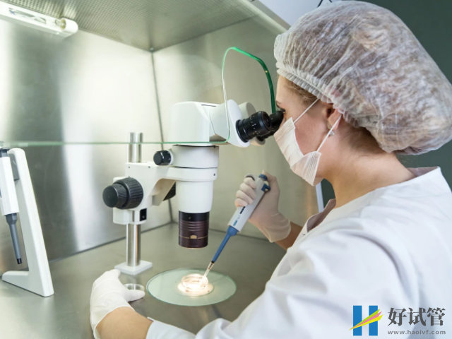 做试管生女孩比生男孩的多,原因不仅仅只是三代基因筛查!(图3) 三代试管不能筛查性别