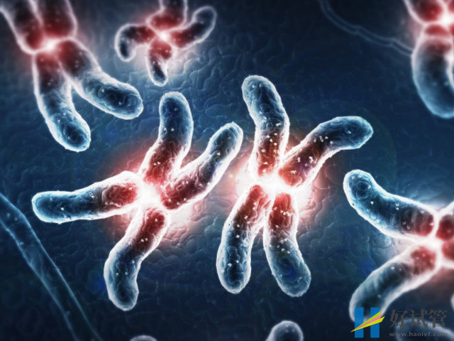 做试管生女孩比生男孩的多,原因不仅仅只是三代基因筛查!(图4) 生男生女Y染色体决定