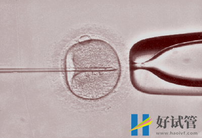 遭遇二代试管选性别骗局,诉讼被驳回,求助无果(图1) 遭遇二代试管选性别骗局,诉讼被驳回,求助无果(图1)