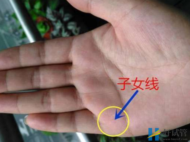 孕妇子女线看生男生女顺序图解,左手右手都能看(图1) 子女线垂直于婚姻线