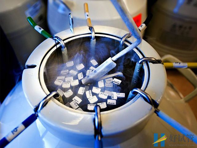 郑州正规供卵试管机构,9家三代助孕机构不排队(图1) 郑州正规供卵试管机构多