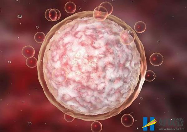 阳江三代试管婴儿包生男孩费用(图1) 28d26b6c82b8ce77f6402d93bba58eb5_36.jpg