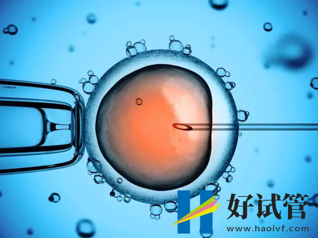 博尔塔拉第三代试管婴儿多少钱,贵不贵?(图1) 1331442a5-2.jpg