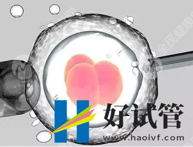 果洛有可以做第三代试管婴儿的医院吗?(图1) 果洛有可以做第三代试管婴儿的医院吗?(图1)