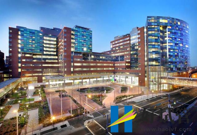 全球试管婴儿医院排名新鲜出炉(图1) 11.jpg