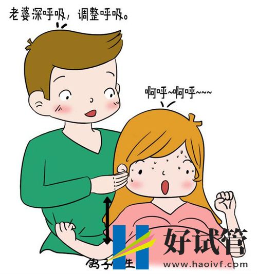 2024清宫图正版推算表(附算法测试分享)(图1) 2024清宫图正版推算表(附算法测试分享)(图1)