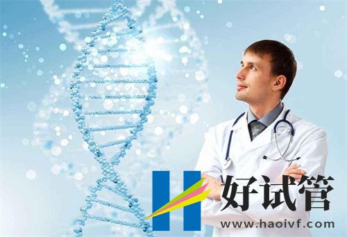 长春2024最受欢迎试管医院名单(图2) undefined