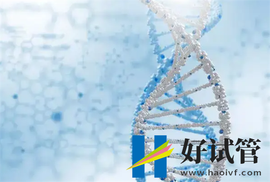 兰州最佳试管医院排名(图1) undefined