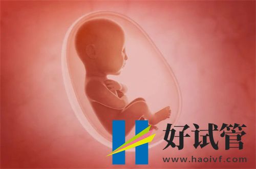 兰州最佳试管医院排名(图2) undefined