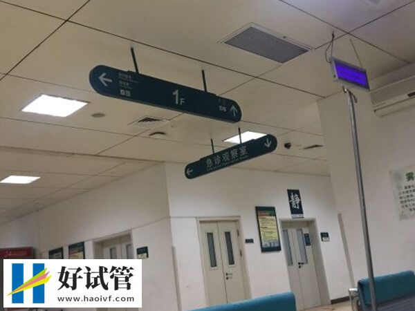 郴州试管婴儿一次成功花费约7万,其中移植成本较高(图1) 郴州试管婴儿价格