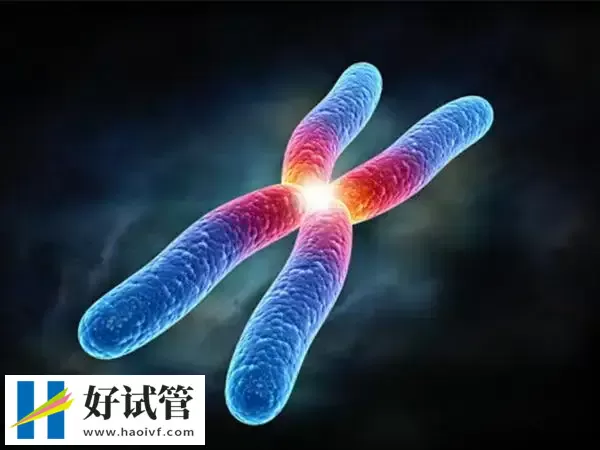 做试管婴儿什么情况下才会检查染色体(图1) 为了宝宝健康建议做试管前查染色体