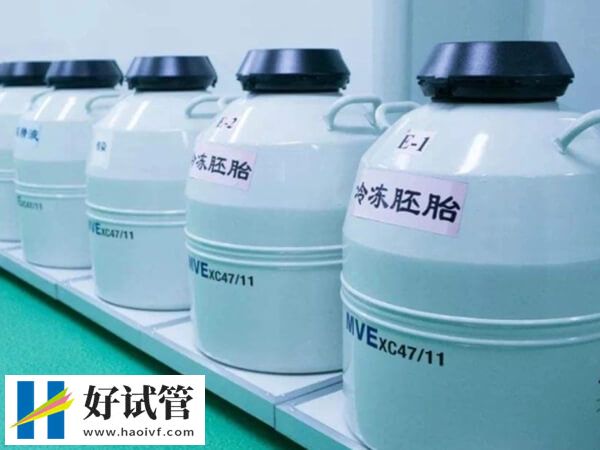 周口试管婴儿生龙凤胎的费用是多少?来了解一下8大收费项目(图2) 周口试管生龙凤胎贵不贵