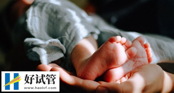 上海第九人民医院试管婴儿怎么样?附费用及成功率数据(图2) 上海九院做试管婴儿费用由多项组成