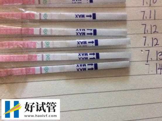 10个小妙招提高女人怀孕几率(图2) 10个小妙招提高女人怀孕几率(图2)