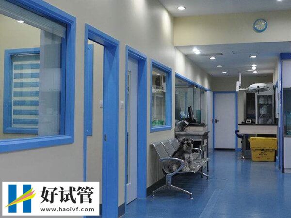 在淄博做试管婴儿花费高吗?看患者身体素质(图2) 淄博试管婴儿价格