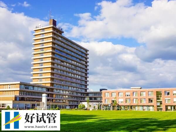 美国正规试管婴儿医院排行榜,麻省总医院排名第一(图1) 洛杉矶生殖医学中心试管成功率